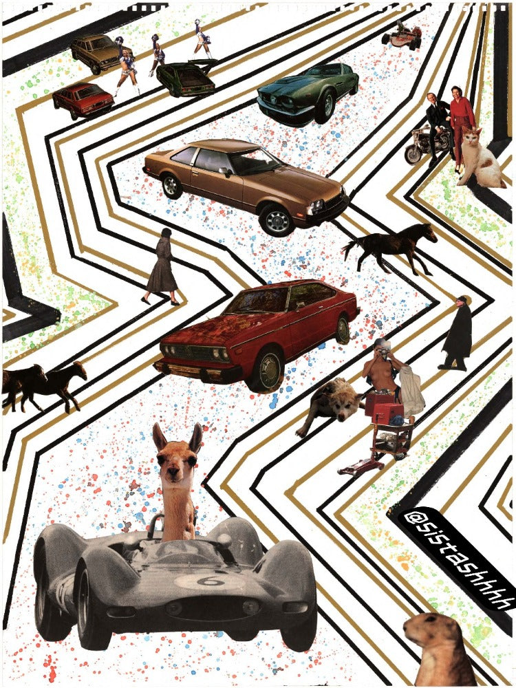 Zing Zang Zoom Picks